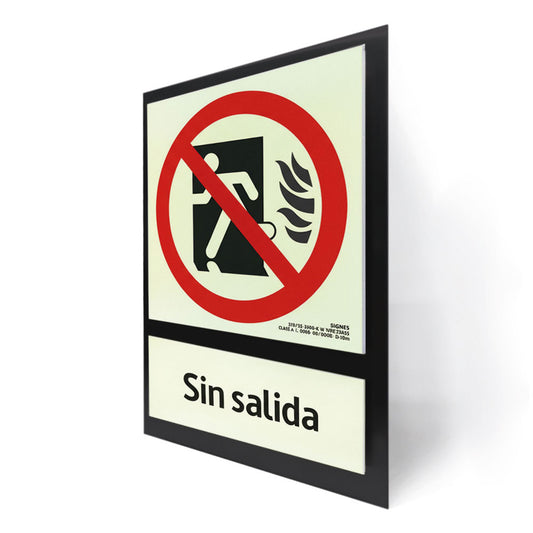 E50B-300 · Sin salida castellano · Paspartú negro