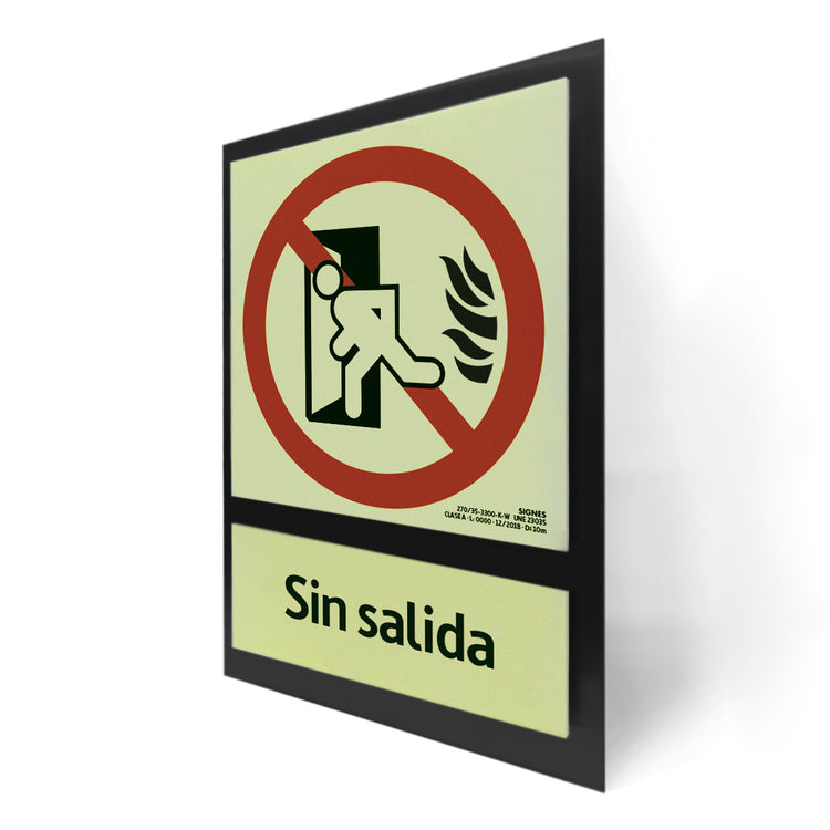 E50B-300 · Sin salida castellano · Paspartú negro