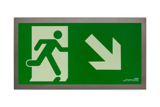 señal señalización emergencia evacuación direccional posicional exit signes signesshop